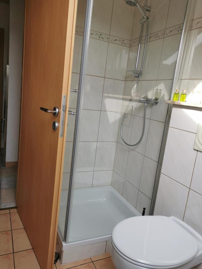 Apartment Hasselstrasse Mehren  Екстериор снимка